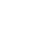 LEV