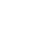 TS